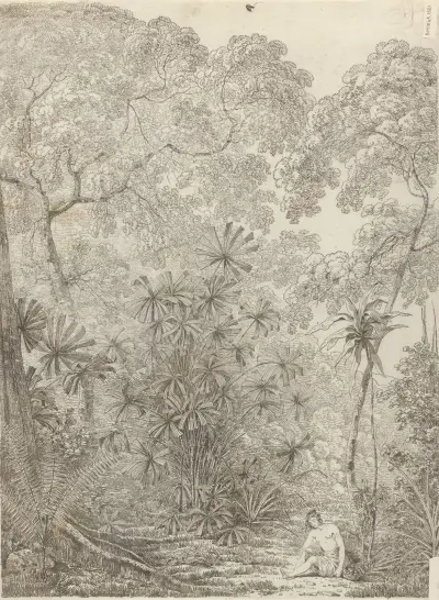 The Fan Palm of Cracatoa av John Webber