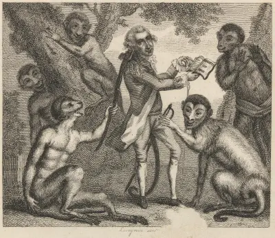 Fable XIV. The Monkey Who Had Seen the World av John Wootton