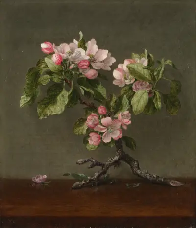 Apfelblüten, 1873 von Martin Johnson Heade