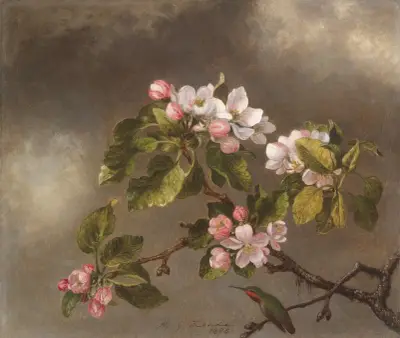 Kolibri und Apfelblüten von Martin Johnson Heade