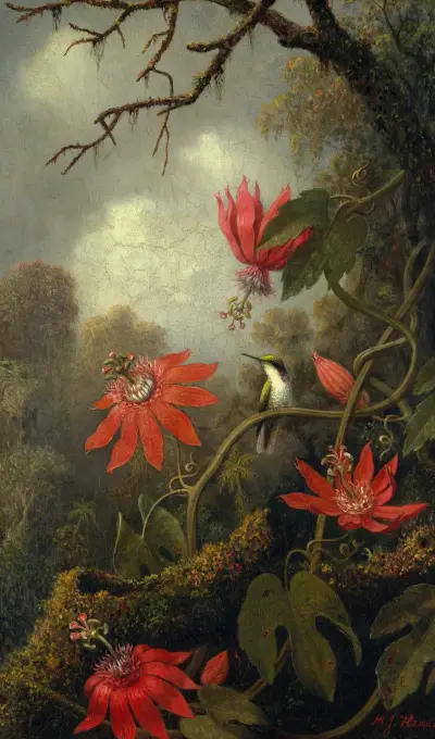 Kolibri und Passionsblumen von Martin Johnson Heade