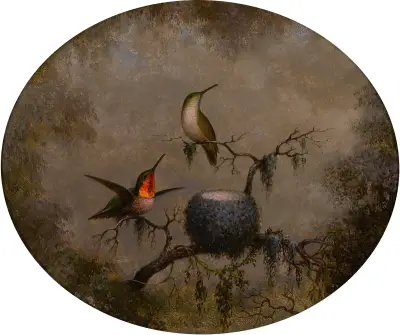 Kolibris und ihr Nest von Martin Johnson Heade