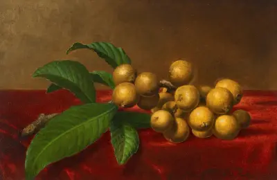 Loquats auf rotem Samt von Martin Johnson Heade