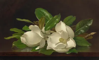 Magnolien auf einem glänzenden Tisch von Martin Johnson Heade