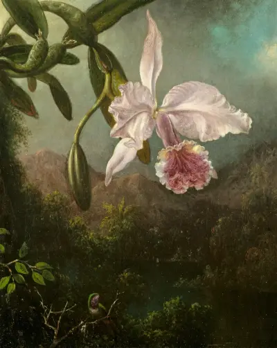 Orchideenblüten von Martin Johnson Heade