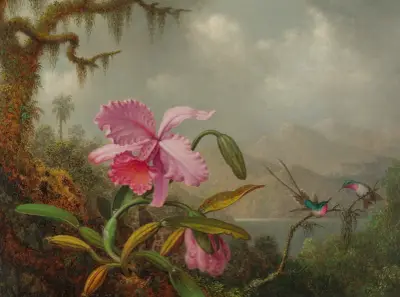 Orchideen und Kolibris von Martin Johnson Heade