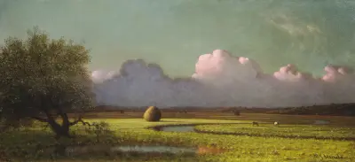 Sonnenlicht und Schatten – Die Newbury-Marsch von Martin Johnson Heade