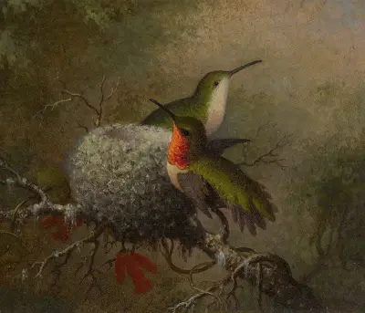 Zwei Rubinkehlkolibris an ihrem Nest von Martin Johnson Heade