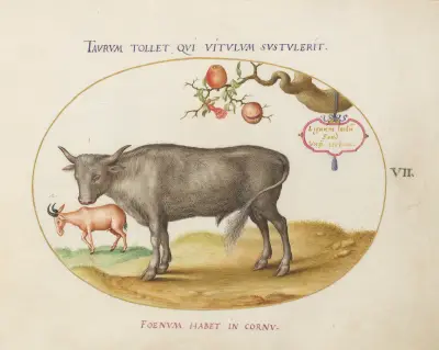 A Bull and a Horned Animal, Joris Hoefnagel