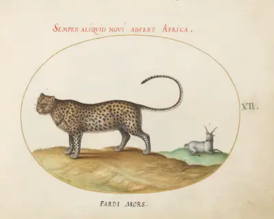 A Cheetah and a Wild Sheep, Joris Hoefnagel