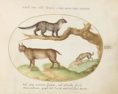 A Civet, a Lynx, and a Hyena Eating a Dog, Joris Hoefnagel