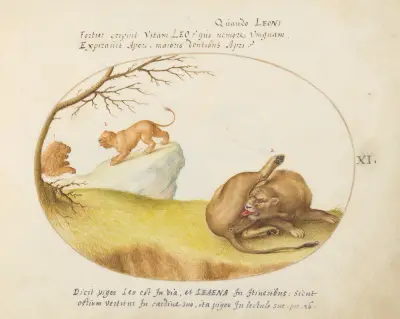 A Lioness with Two Lions in the Background, Joris Hoefnagel