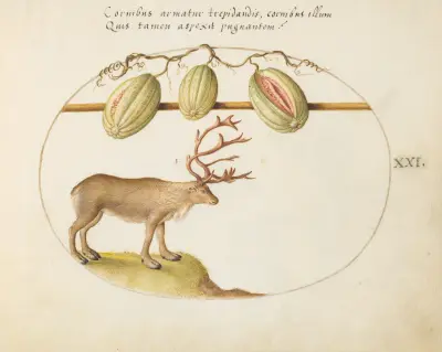 Reindeer with Melons, Joris Hoefnagel