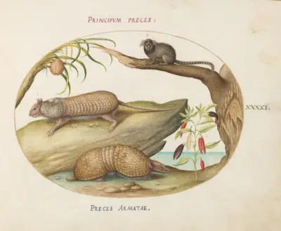 Two Types of Armadillos with a Marmoset, a Coconut Palm, and a Pepper Plant, Joris Hoefnagel