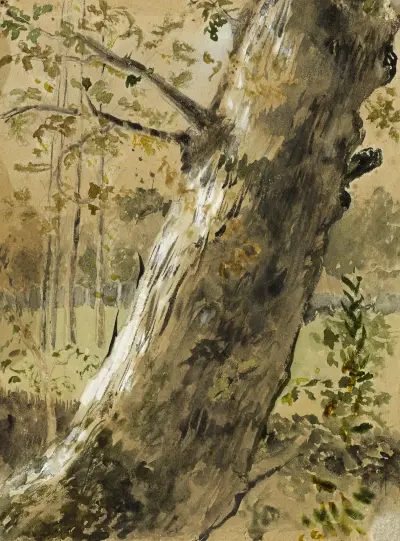 Etude de paysage en Vendée. La Roche-sur-Yon. Tronc d’arbre av Arthur-Joseph Gueniot