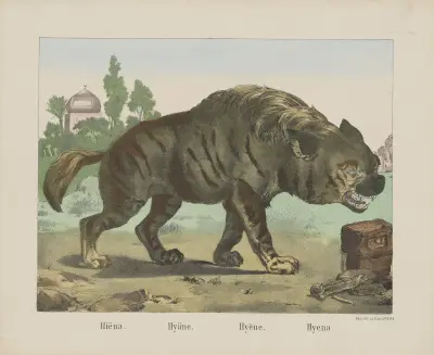 Hyena av Joseph Scholz