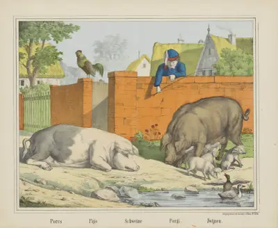 Pigs av Joseph Scholz