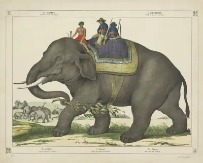 The elephant av Joseph Scholz
