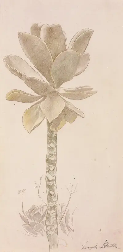 Flower Study, Joseph Stella