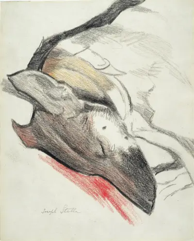 Sleeping Dog, Joseph Stella
