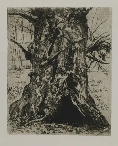 Tree Trunk, Joseph Stella