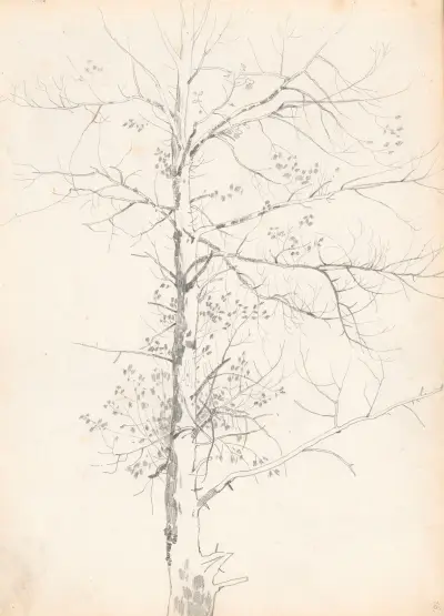 Birch, Jozef Brandt