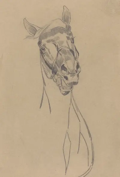 Studia koni, obustronne, Jozef Chelmonski