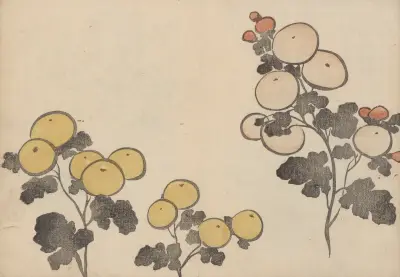 Kōrin gafu – Hōchū Pl.16, Ogata Kōrin