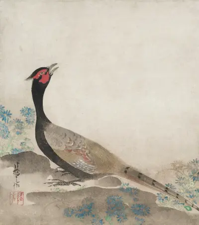 Pheasant, Ogata Kōrin