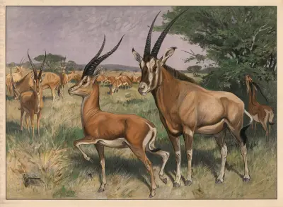 Antilope av Karl Wagner