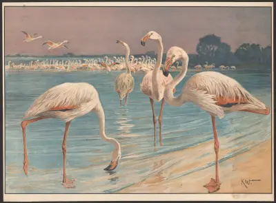 Flamingo av Karl Wagner