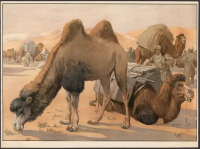 Kamel av Karl Wagner
