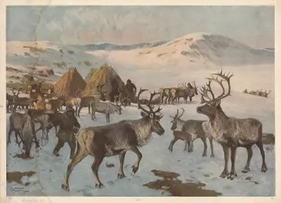 Rensdyr av Karl Wagner