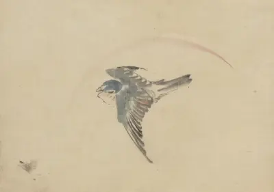 A bird flying to the left, seen from above av Katsushika Hokusai