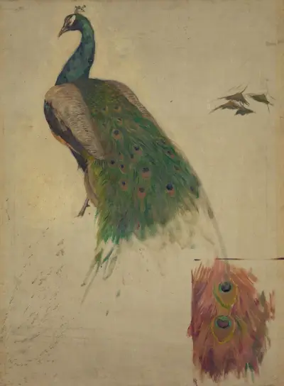 The sciences, study for peacock in tympanum av Kenyon Cox