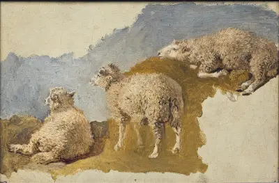 Three Sheep. Study von Kilian Zoll