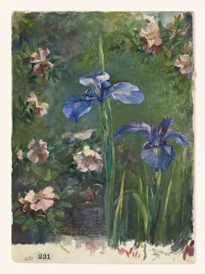 Wild Roses and Irises av John La Farge