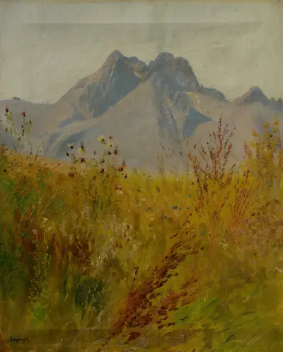 Szczyt Łomnicki, Ladislav Mednyánszky