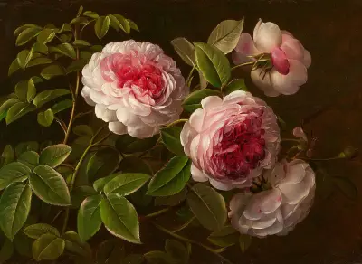 Rosafarbene Rosen av Johan Laurentz Jensen