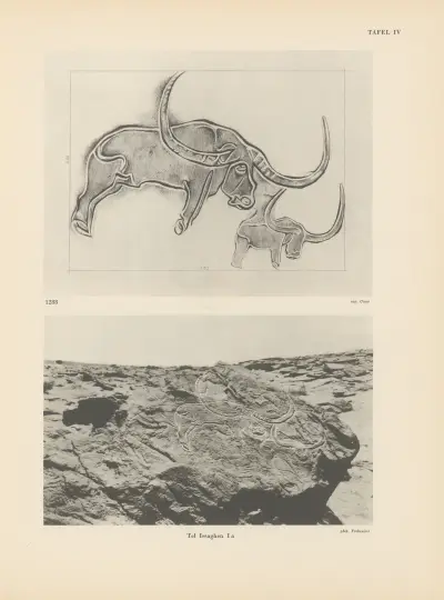 Ekade Ektab die Felsbilder Fezzans Pl.12 von Leo Frobenius