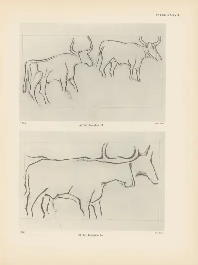Ekade Ektab die Felsbilder Fezzans Pl.36 von Leo Frobenius