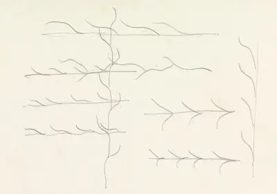 Návrhy na vodoznak bankovky; ornament, Leo Gestel