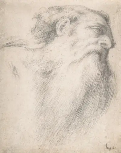 Head of a Bearded Man von Lorenzo Lotto