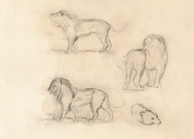 Studie tří lvů a medvědí hlavy, Antoine-Louis Barye