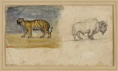 Etude d’un tigre et d’un bison av Antoine-Louis Barye