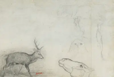 Studie zvířat (zadní strana), Antoine-Louis Barye