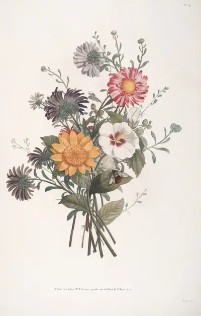 Bouquet d’Héliante fleuri, de Reine Marguerites, et de Ketmie av Jean Louis Prévost