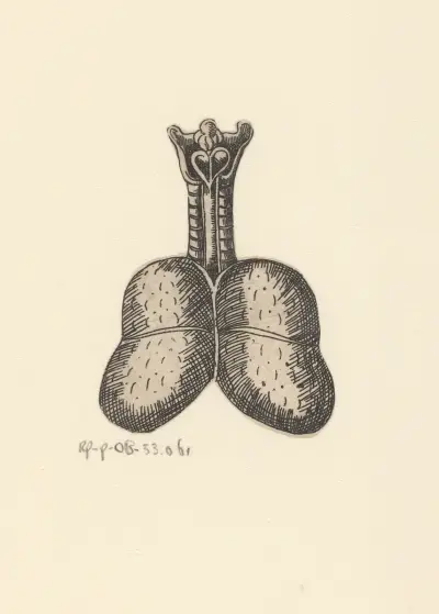 Lungs and trachea av Lucas Kilian