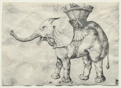 An Elephant with Howdah av Martin Schongauer