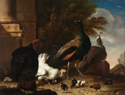 Eine Henne mit Pfauen und einem Truthahn von Melchior d'Hondecoeter